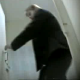 An Eastern-European bowlcam video production featuring a blonde woman pooping into a public floor toilet. The Russians and Japanese both use floor toilets, unlike the West. About 5 minutes.